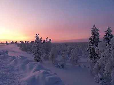 Aihki Ii Saariselkä