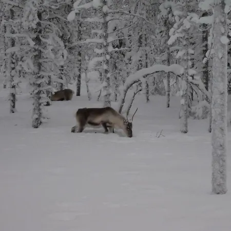 Aihki Ii Сasa de vacaciones Saariselkä